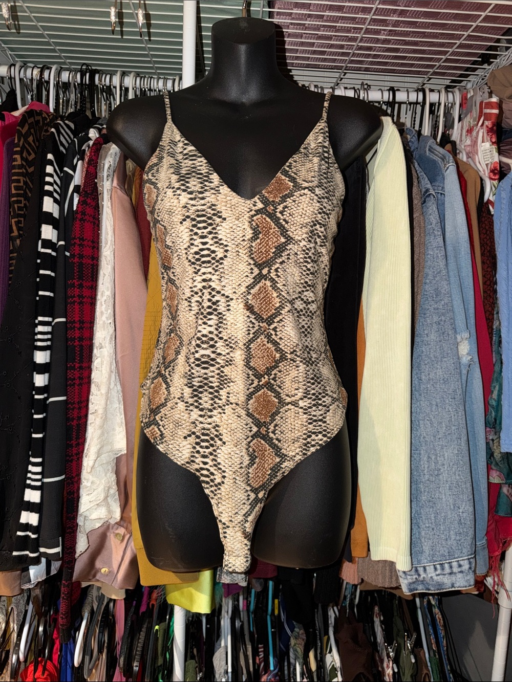Daisy Snake Print V-Neck Spaghetti Strap Bodysuit in Beige and Brown